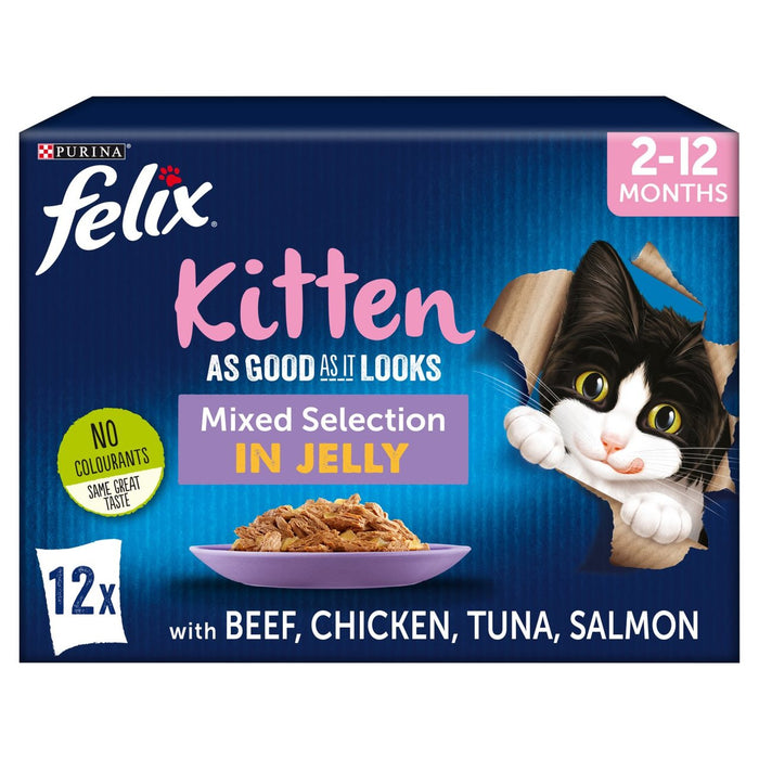 Felix so gut wie es aussieht Kätzchen Katze Futter gemischt in Gelee 12 x 100g